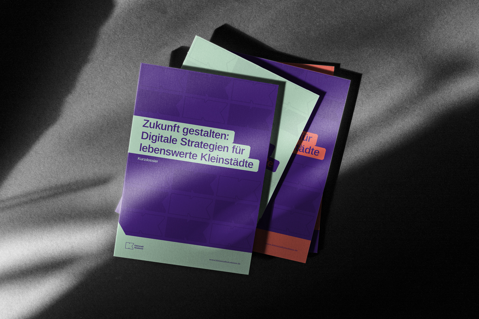 Kurzdossier der Kleinstadt Akademie